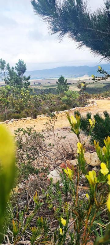 Avani Lodge Private Nature Reserve بوتريفيير المظهر الخارجي الصورة