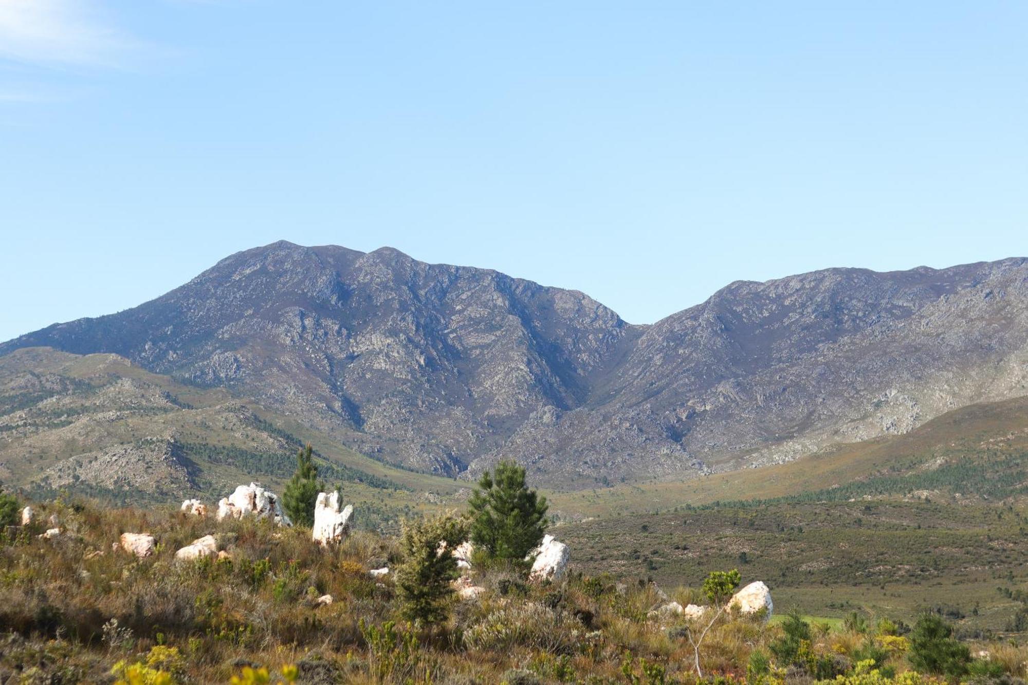 Avani Lodge Private Nature Reserve بوتريفيير المظهر الخارجي الصورة