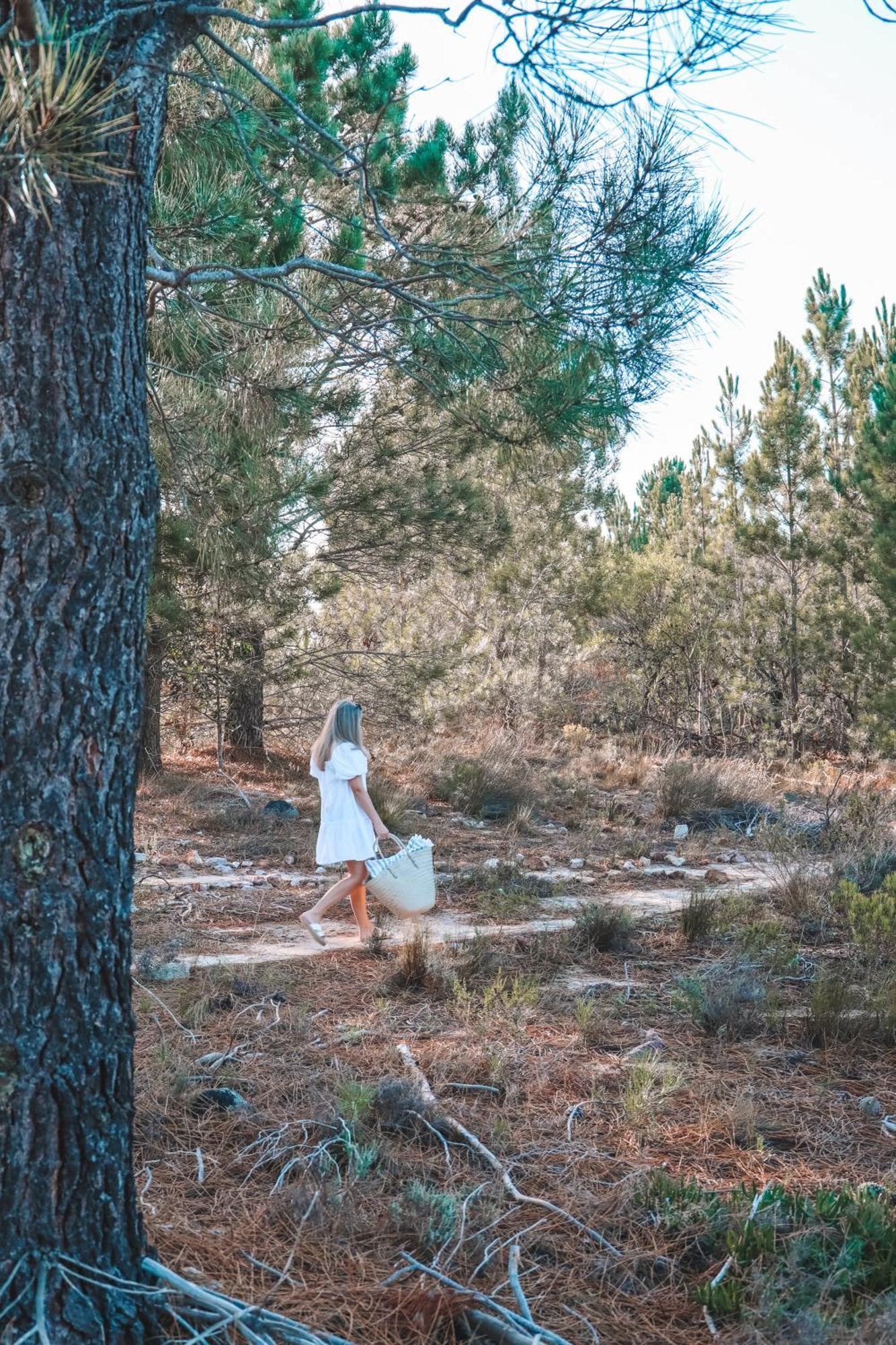 Avani Lodge Private Nature Reserve بوتريفيير المظهر الخارجي الصورة