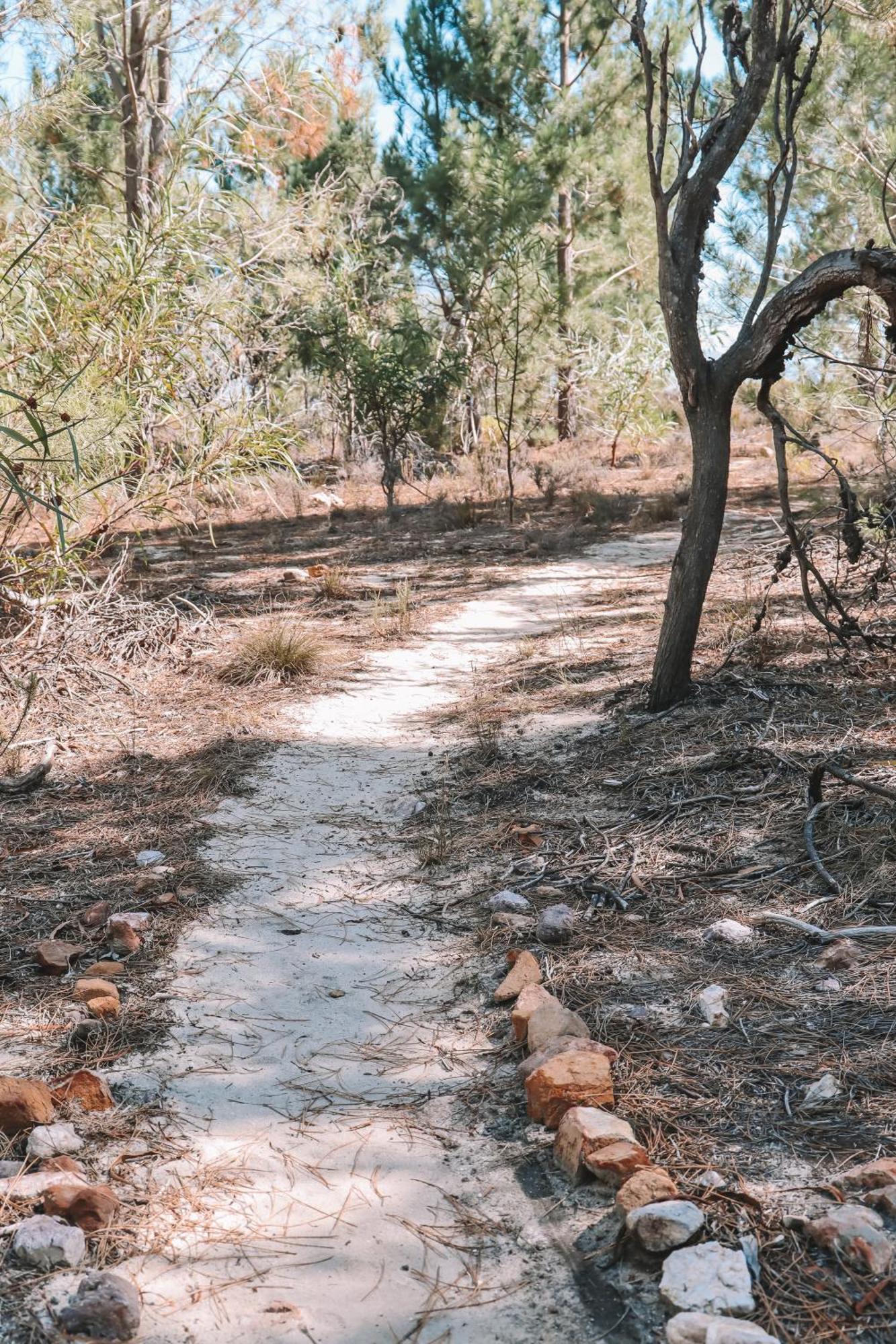 Avani Lodge Private Nature Reserve بوتريفيير المظهر الخارجي الصورة