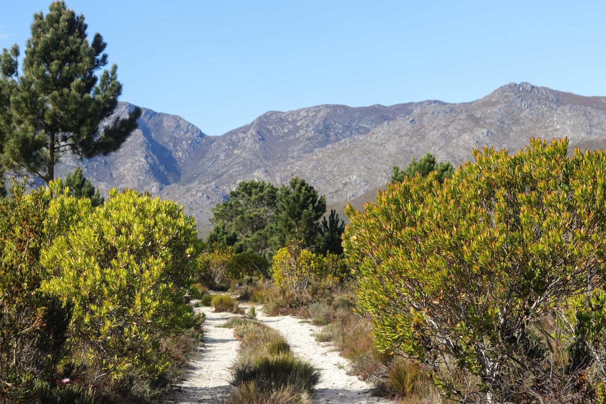 Avani Lodge Private Nature Reserve بوتريفيير المظهر الخارجي الصورة